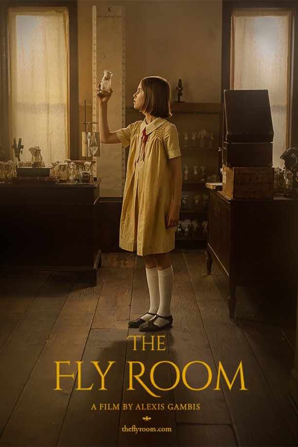 Poster of the movie The Fly Room