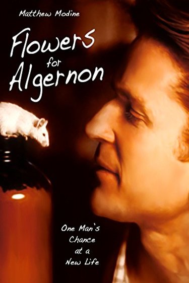 Poster of the movie Flowers for Algernon