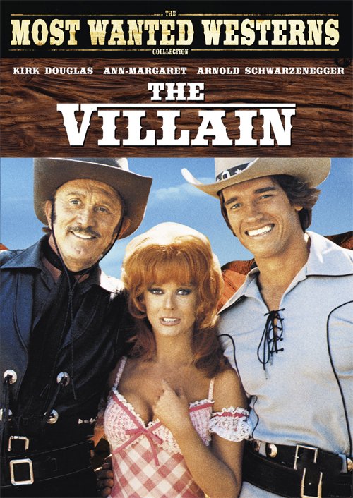 Poster of the movie The Villain