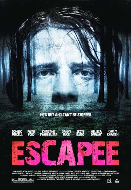 Poster of the movie Escapee