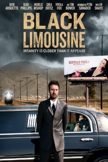 Poster of the movie Black Limousine