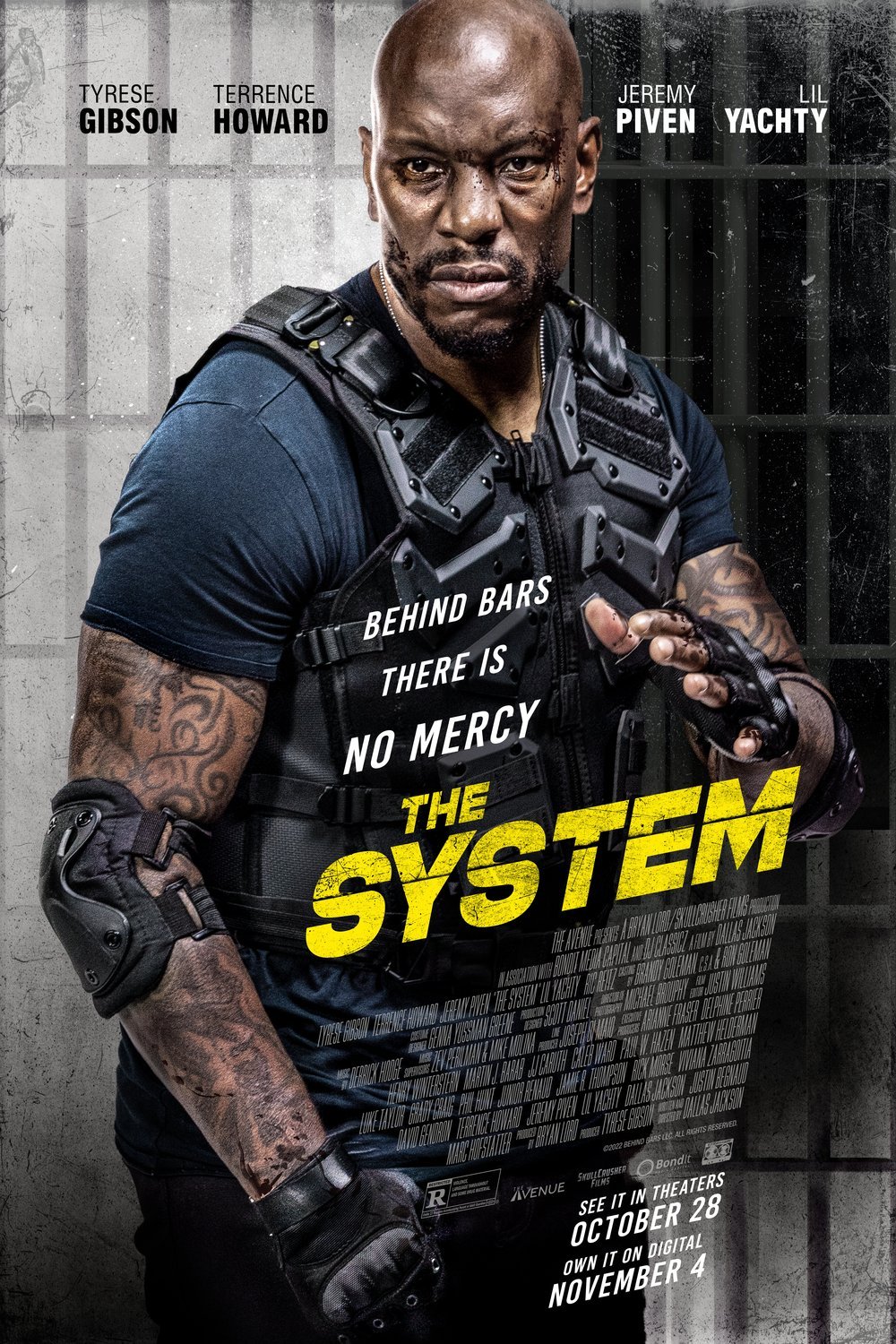 Poster of the movie The System