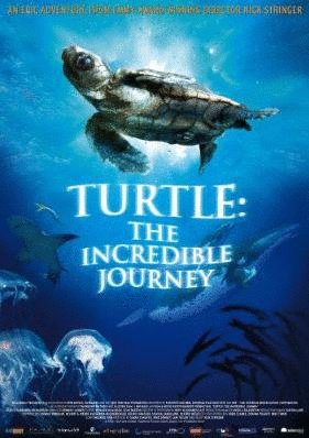 Poster of the movie Turtle: The Incredible Journey