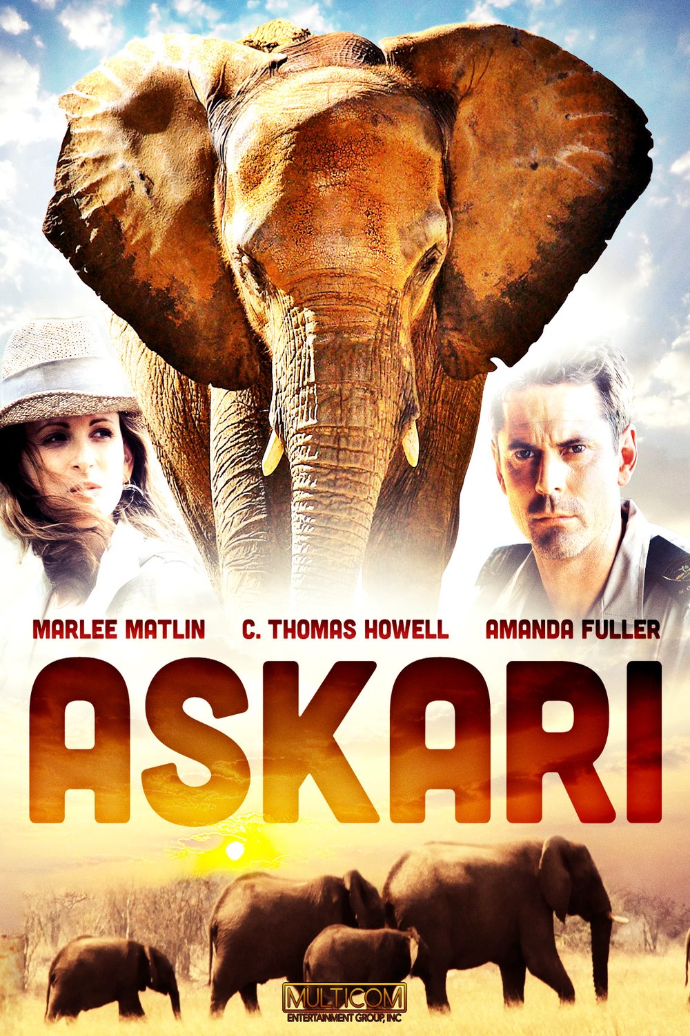 Poster of the movie Askari