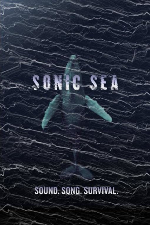 Poster of the movie Sonic Sea