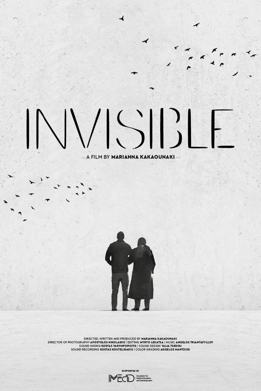 Turkish poster of the movie Invisible