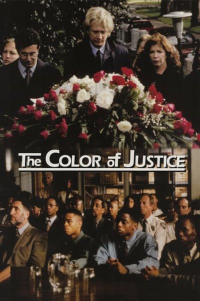 Poster of the movie Color of Justice