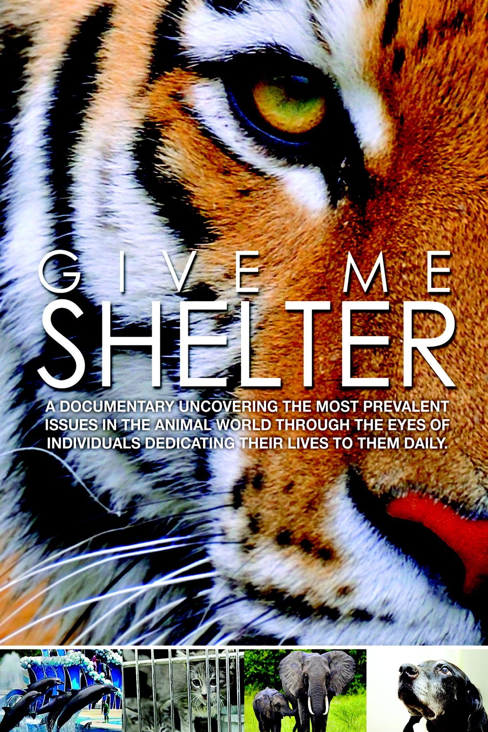 Poster of the movie Give Me Shelter