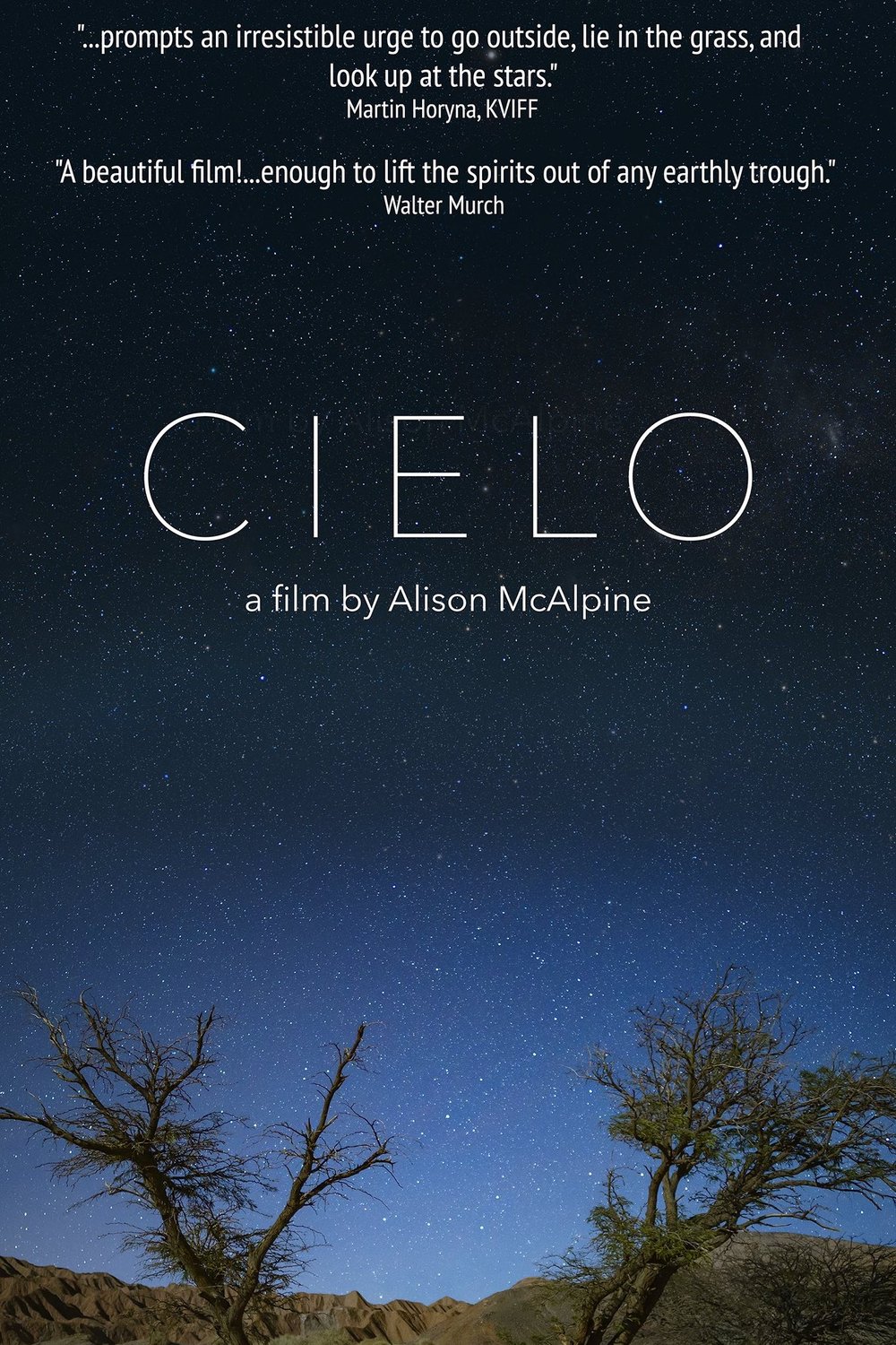 Poster of the movie Cielo