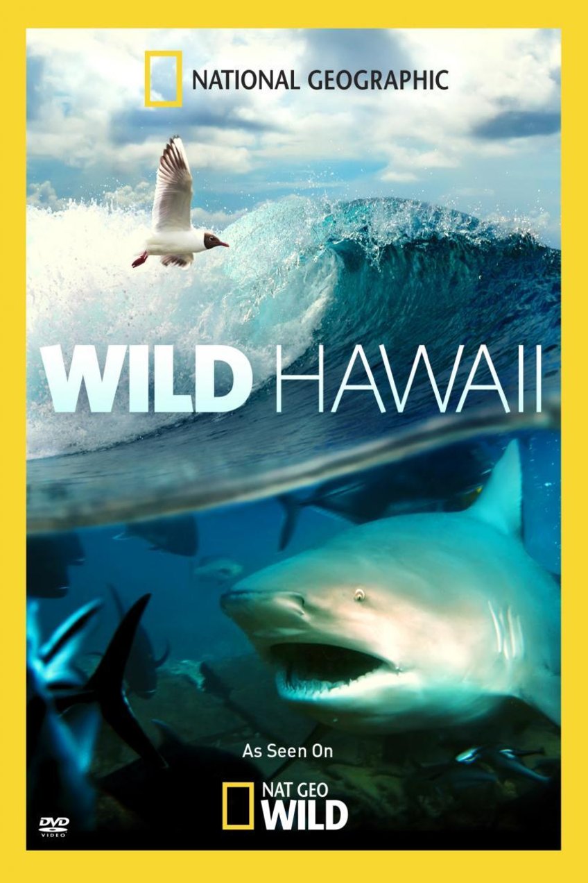 Poster of the movie Wild Hawaii