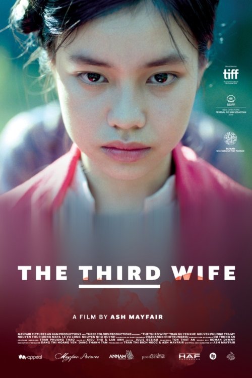 Vietnamese poster of the movie The Third Wife