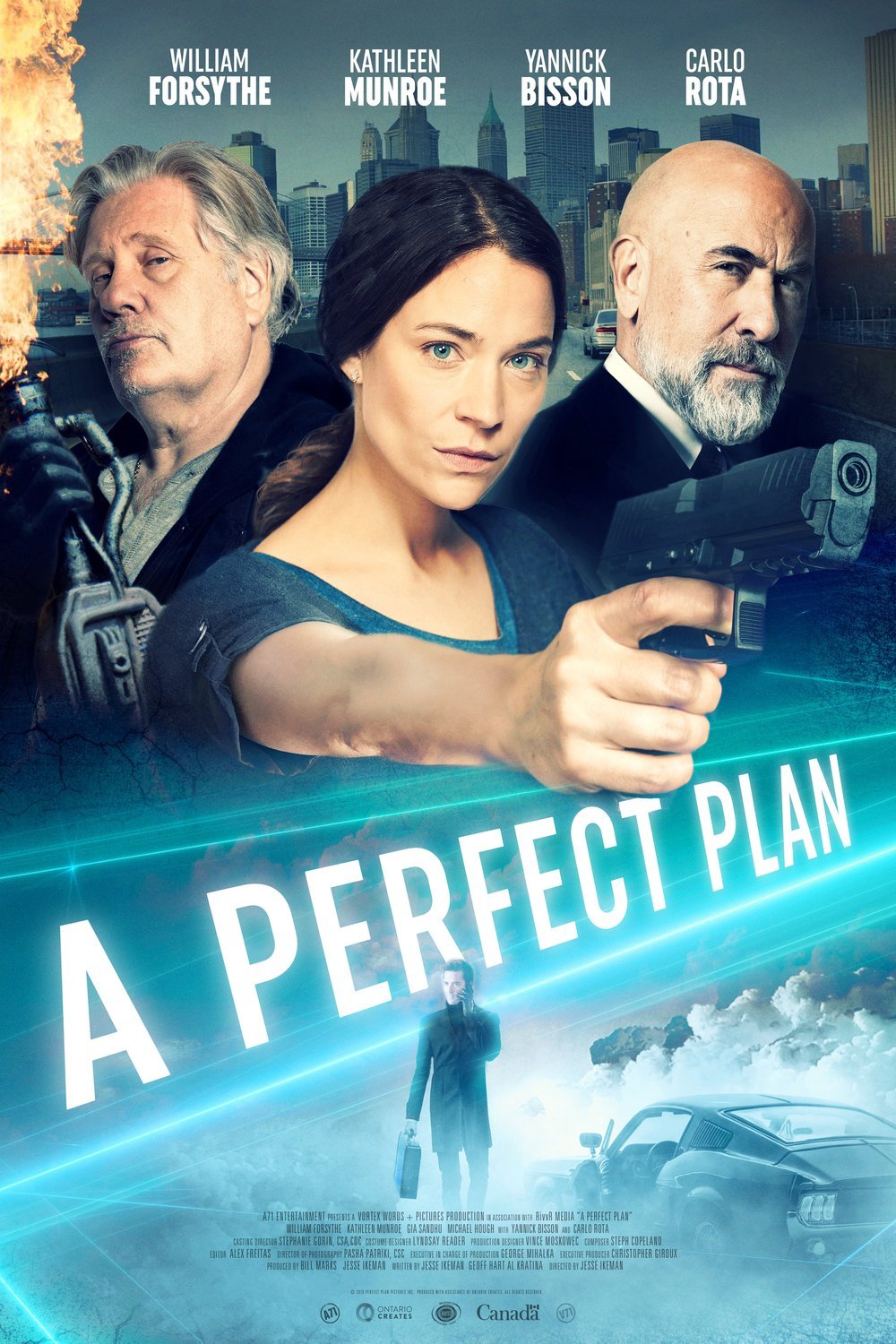 Poster of the movie A Perfect Plan