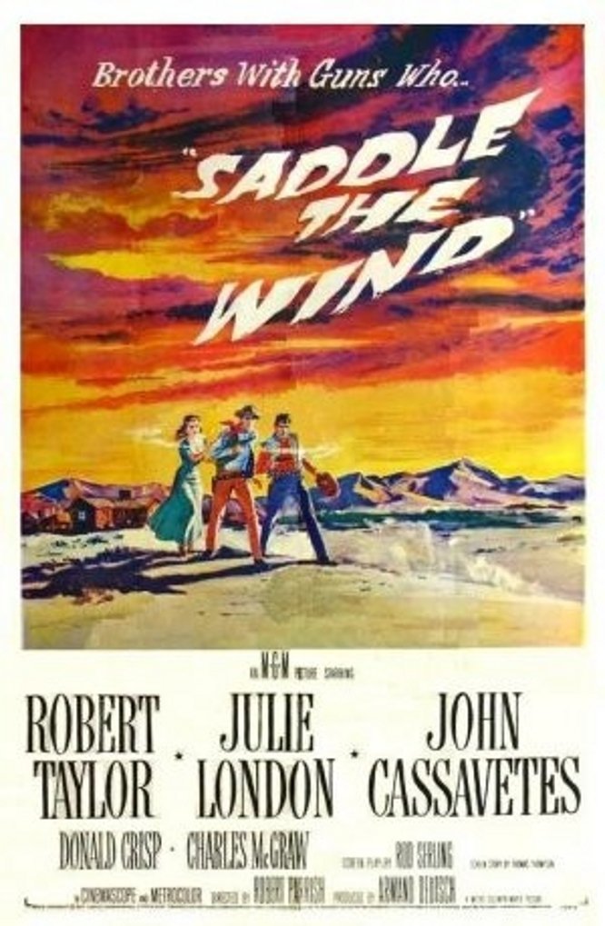 Poster of the movie Saddle the Wind