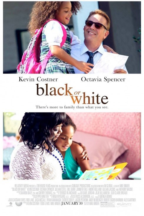 Poster of the movie Black or White