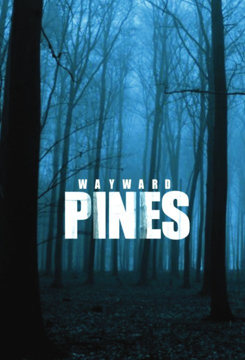 Poster of the movie Wayward Pines