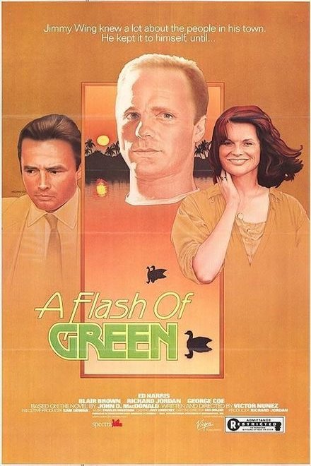 Poster of the movie American Playhouse: A Flash of Green