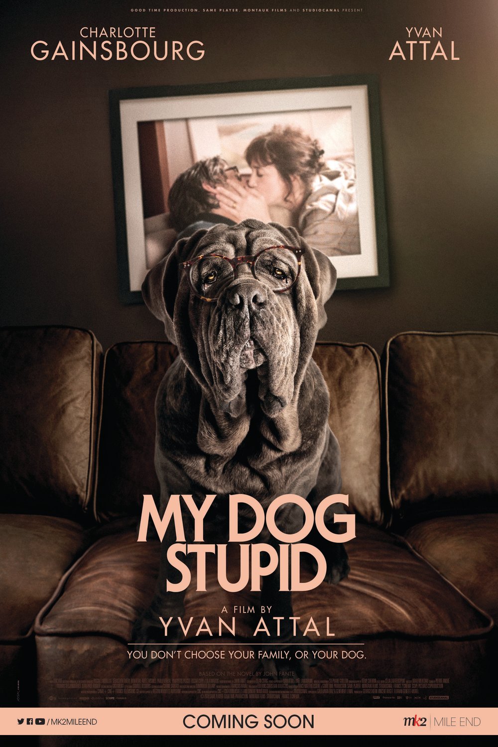 Poster of the movie My Dog Stupid