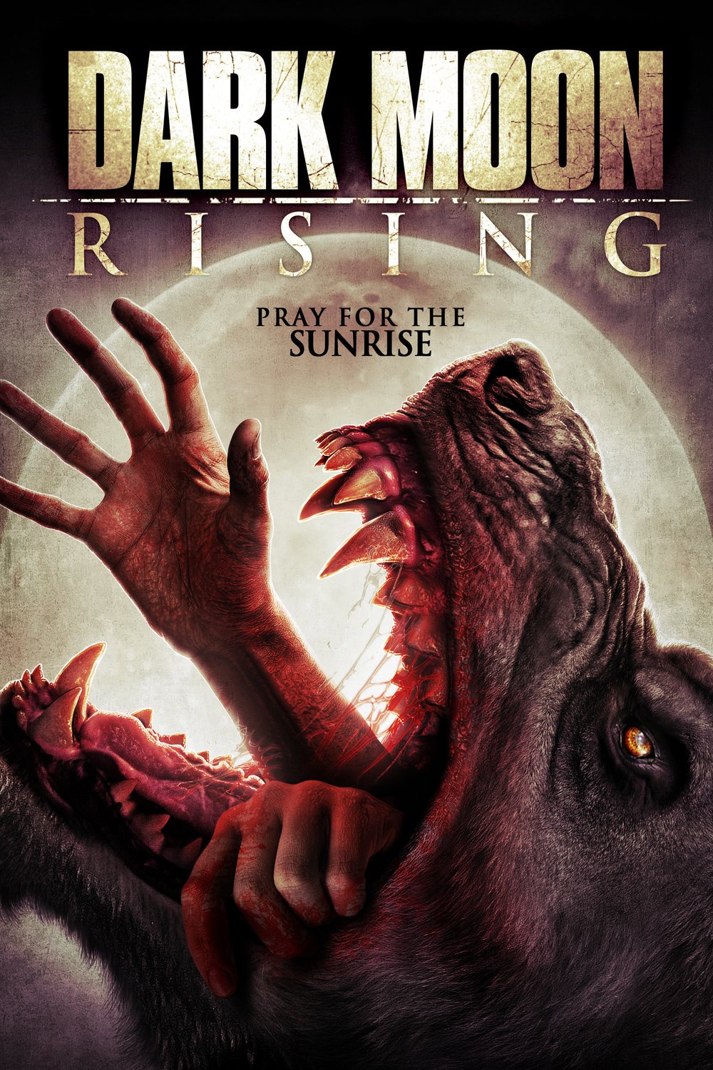 Poster of the movie Dark Moon Rising