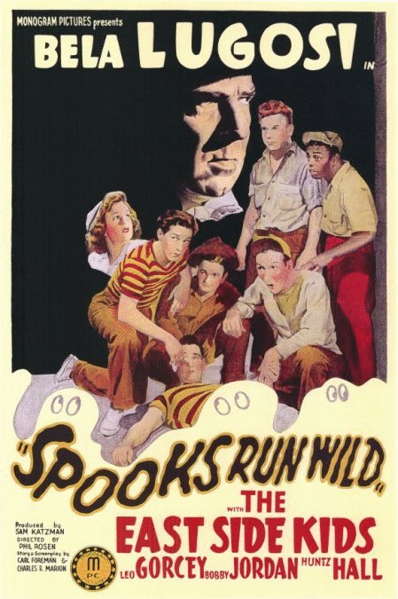 Poster of the movie Spooks Run Wild
