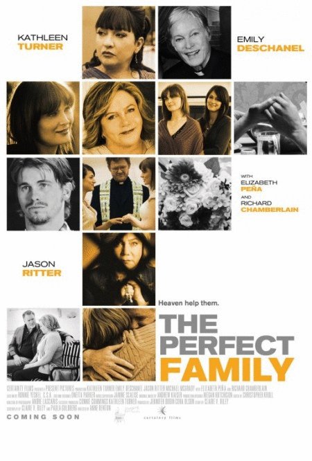 Poster of the movie The Perfect Family