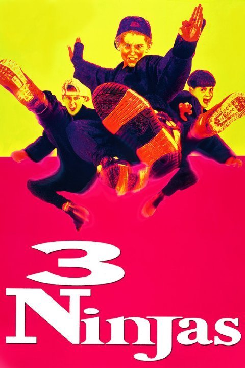 Poster of the movie 3 Ninjas