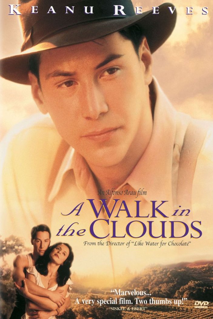 Poster of the movie A Walk in the Clouds
