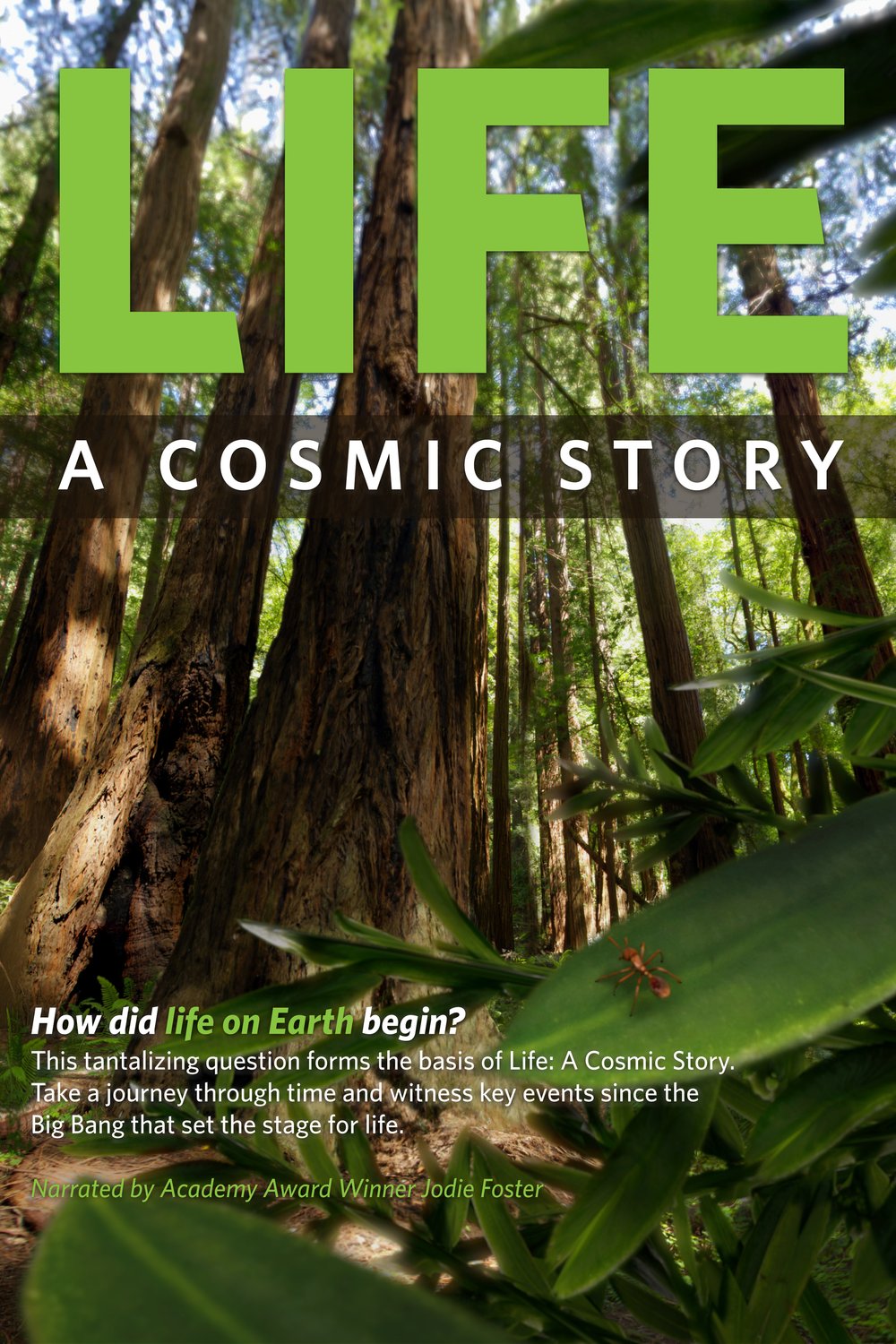 Poster of the movie Life: A Cosmic Story