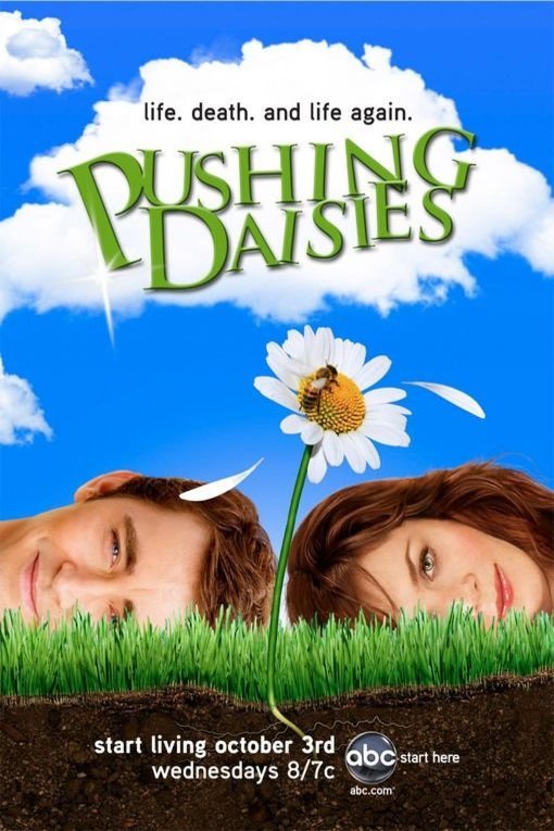 Poster of the movie Pushing Daisies