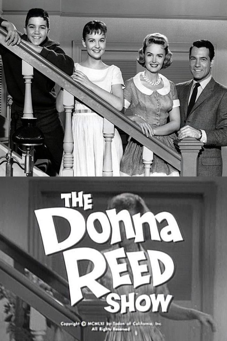 Poster of the movie The Donna Reed Show