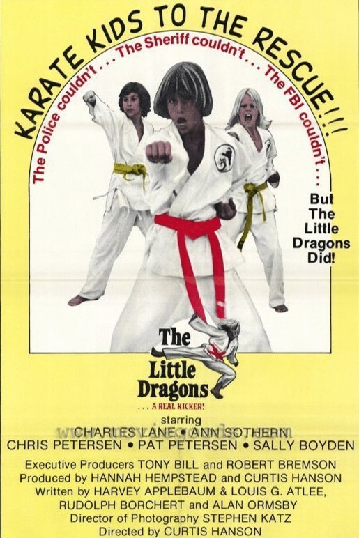 Poster of the movie The Little Dragons