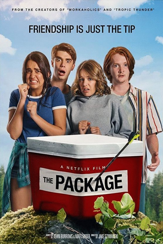 Poster of the movie The Package