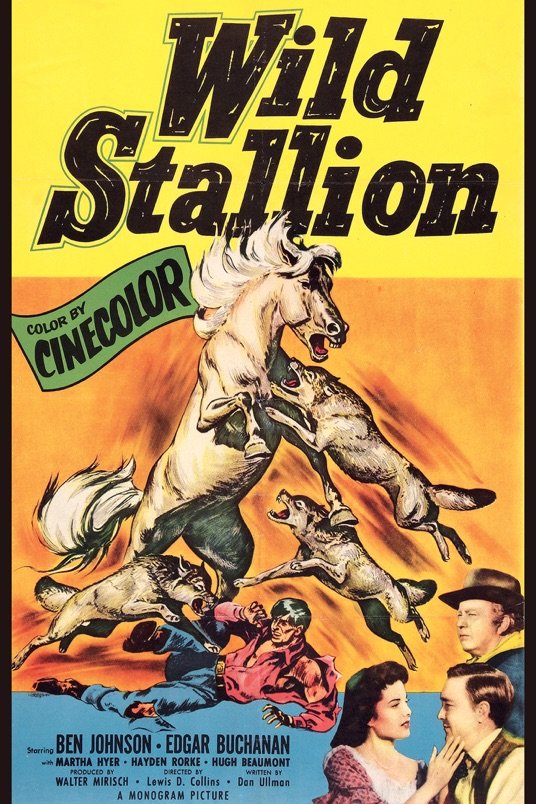 Poster of the movie Wild Stallion