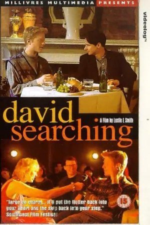 Poster of the movie David Searching