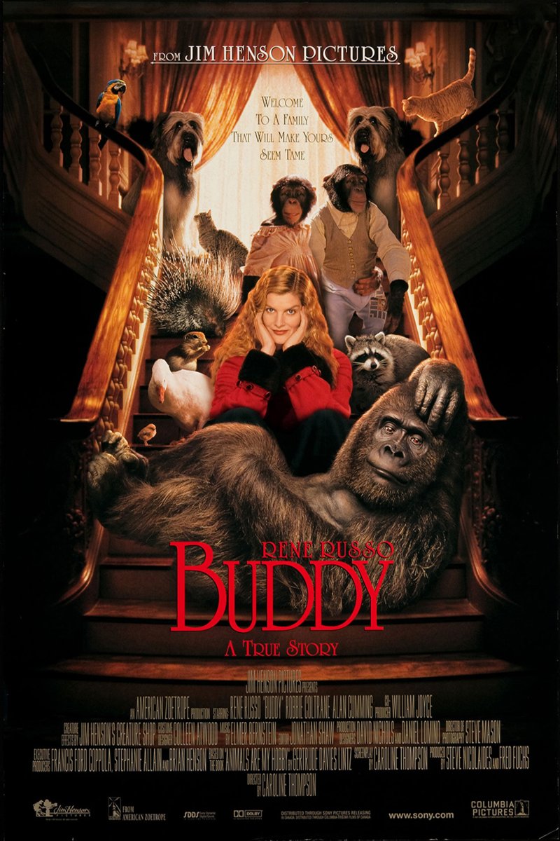 Poster of the movie Buddy