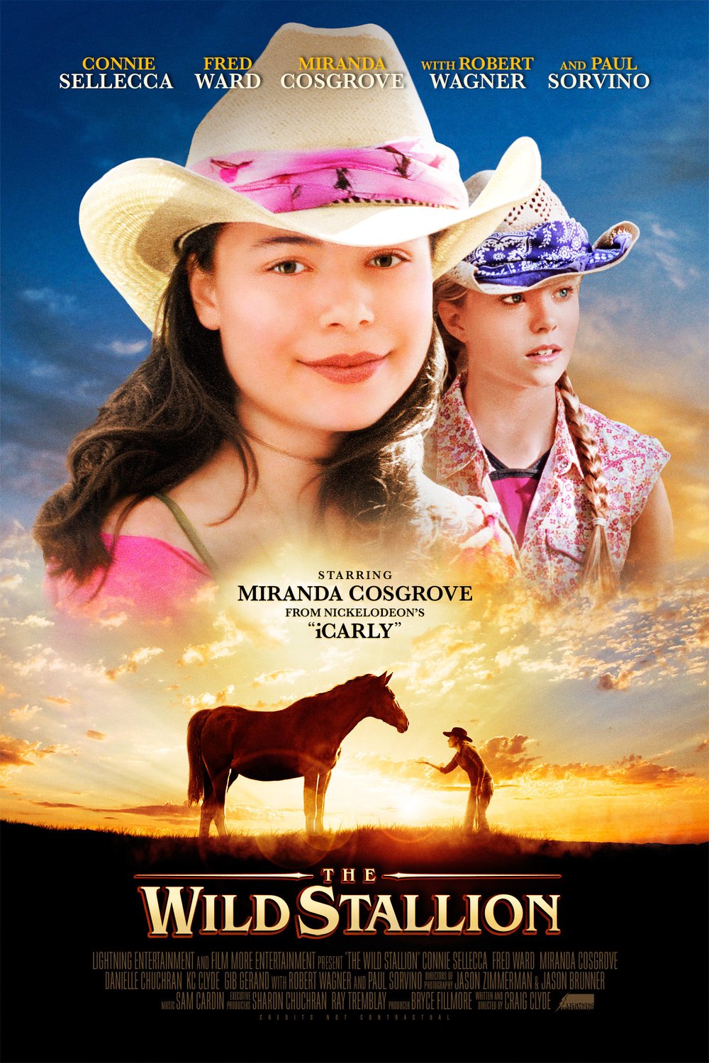 Poster of the movie The Wild Stallion