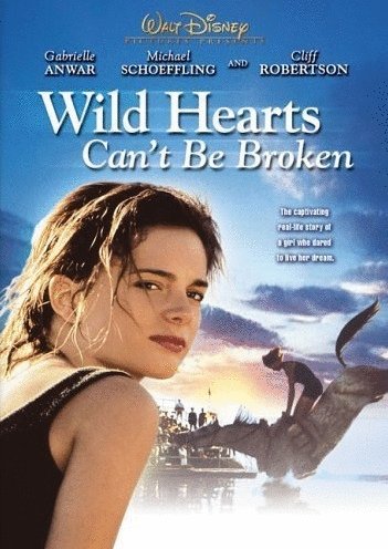 Poster of the movie Wild Hearts Can't Be Broken