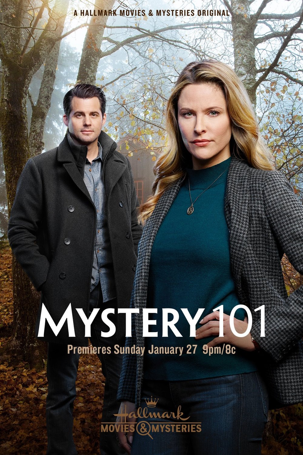 Poster of the movie Mystery 101