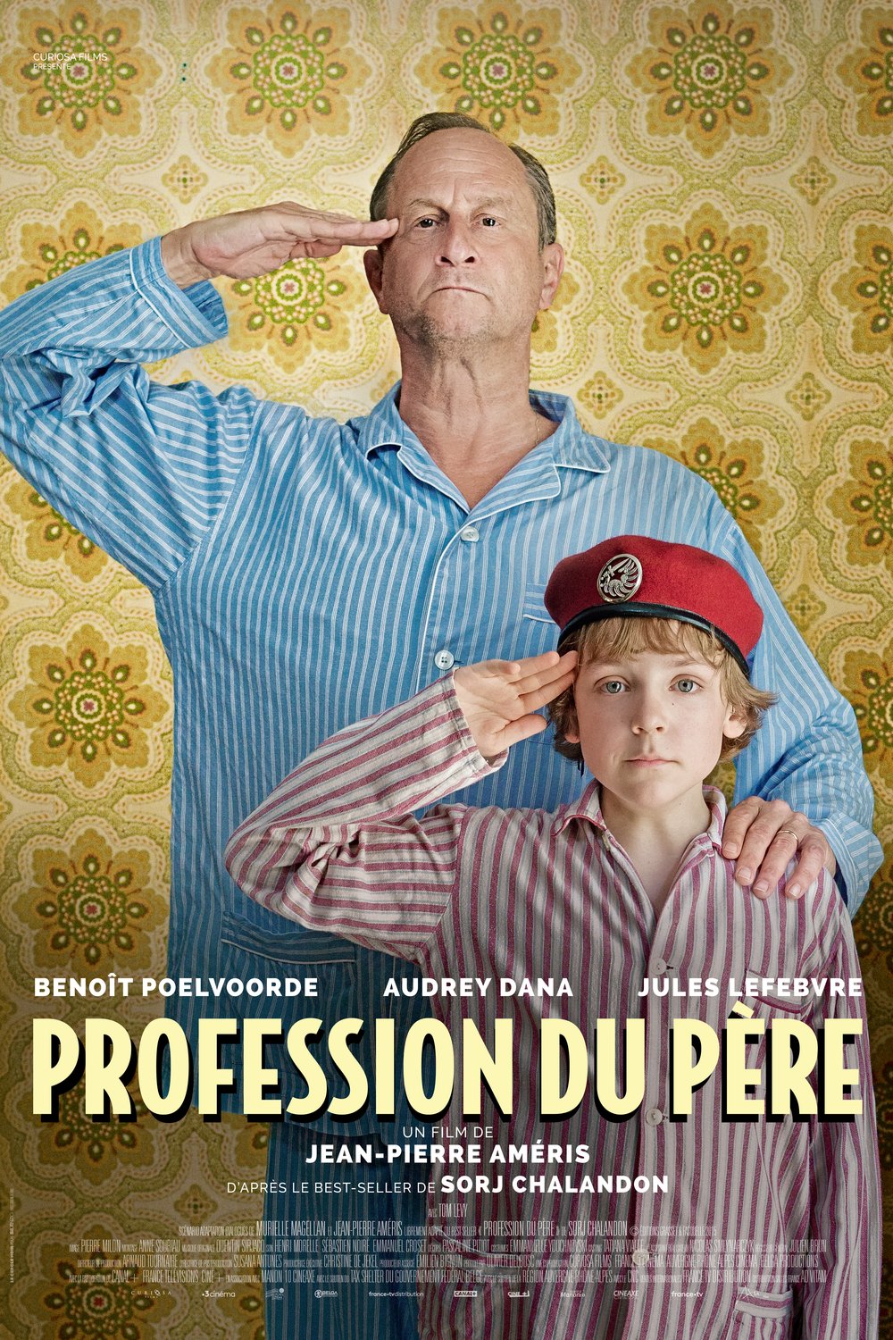 Poster of the movie Profession du père