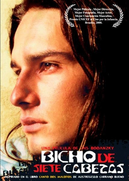 Portuguese poster of the movie Bicho de Sete Cabeças