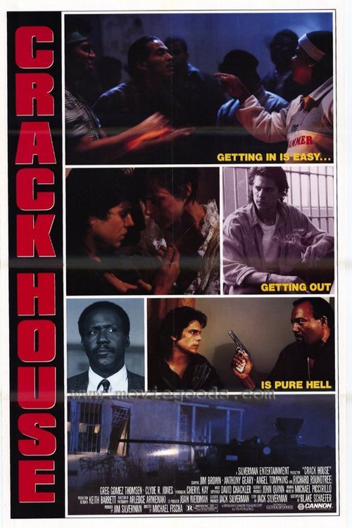 Poster of the movie Crack House
