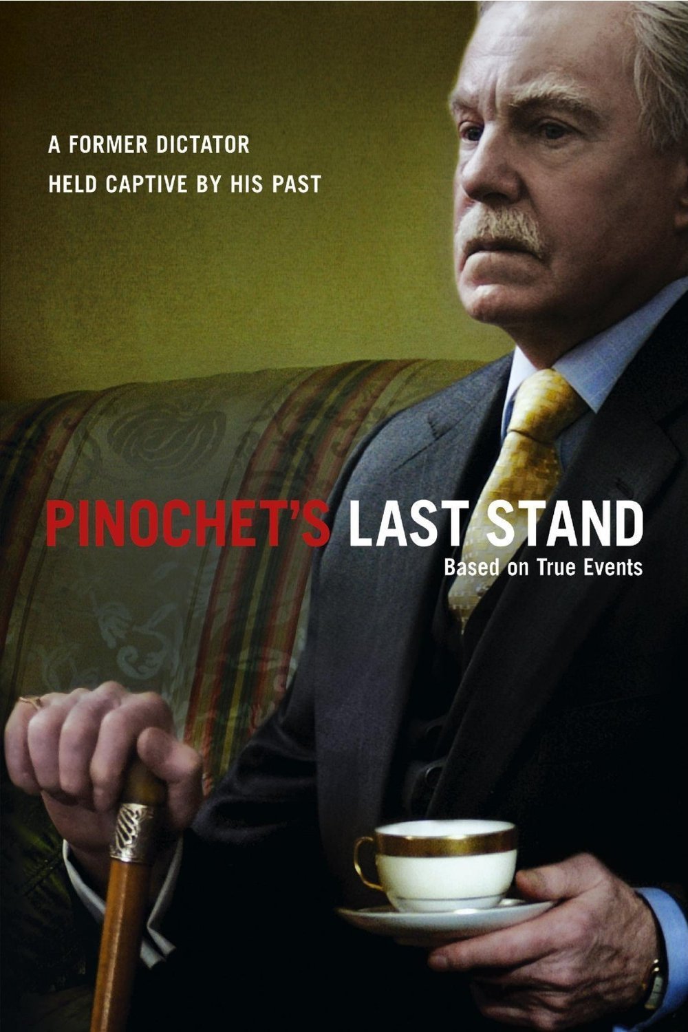 Poster of the movie Pinochet's Last Stand