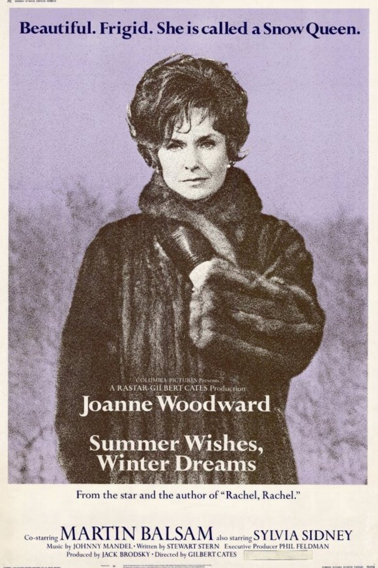 Poster of the movie Summer Wishes, Winter Dreams