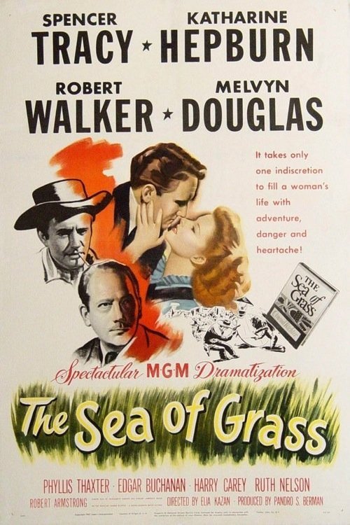 Poster of the movie The Sea of Grass