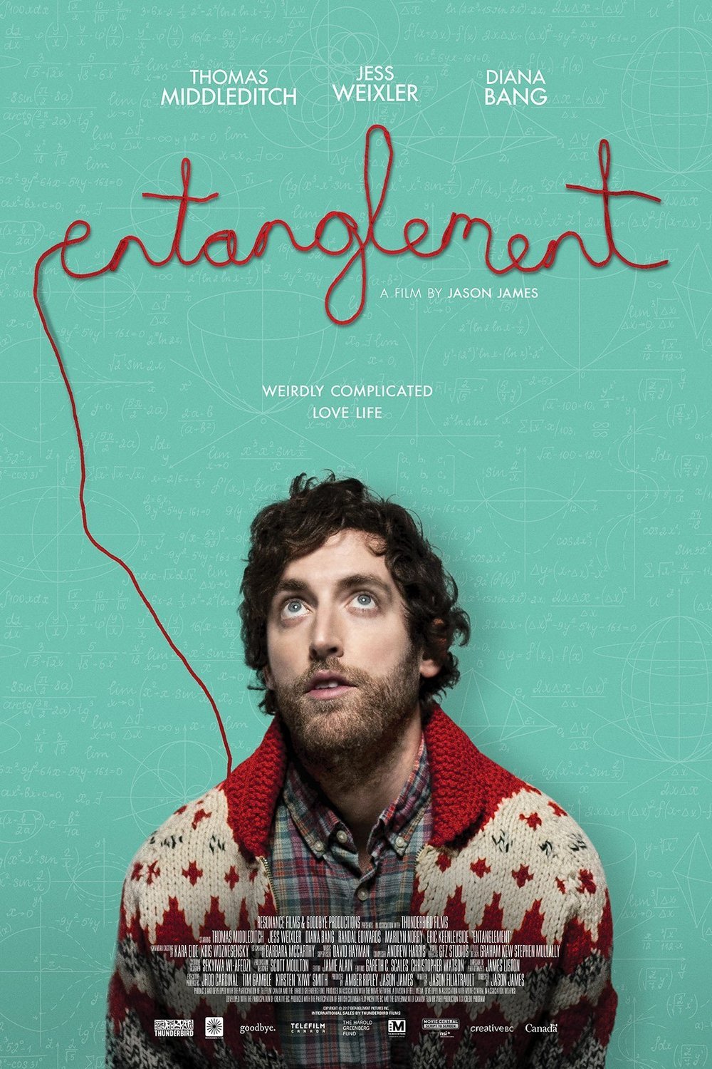 Poster of the movie Entanglement