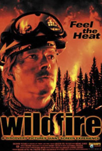Poster of the movie Wildfire: Feel the Heat