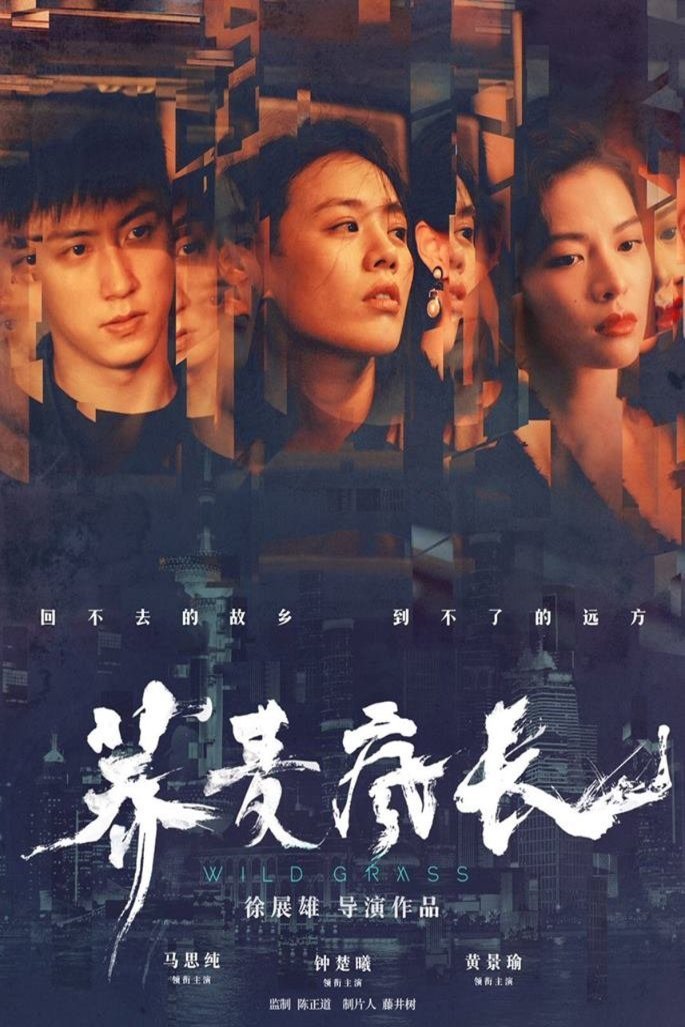 Chinese poster of the movie Wild Grass