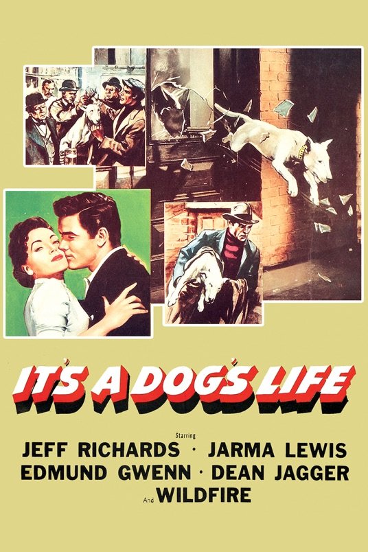 Poster of the movie It's a Dog's Life