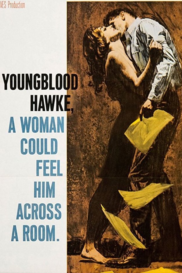 Poster of the movie Youngblood Hawke