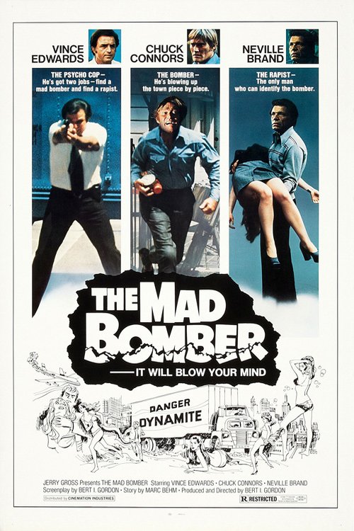 Poster of the movie The Mad Bomber
