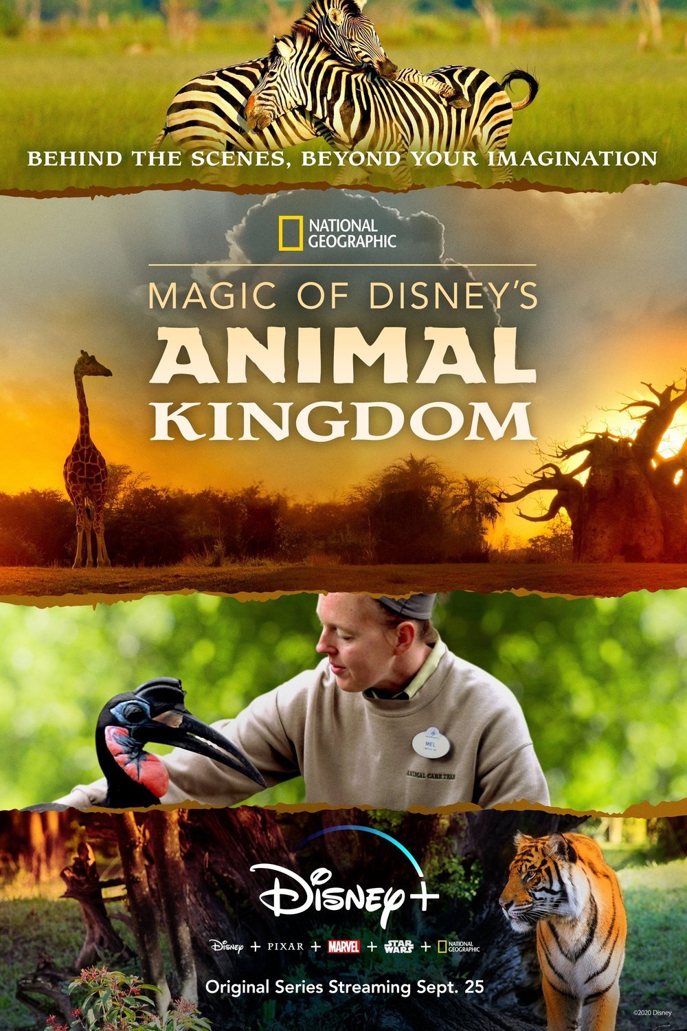 Poster of the movie Magic of Disney's Animal Kingdom